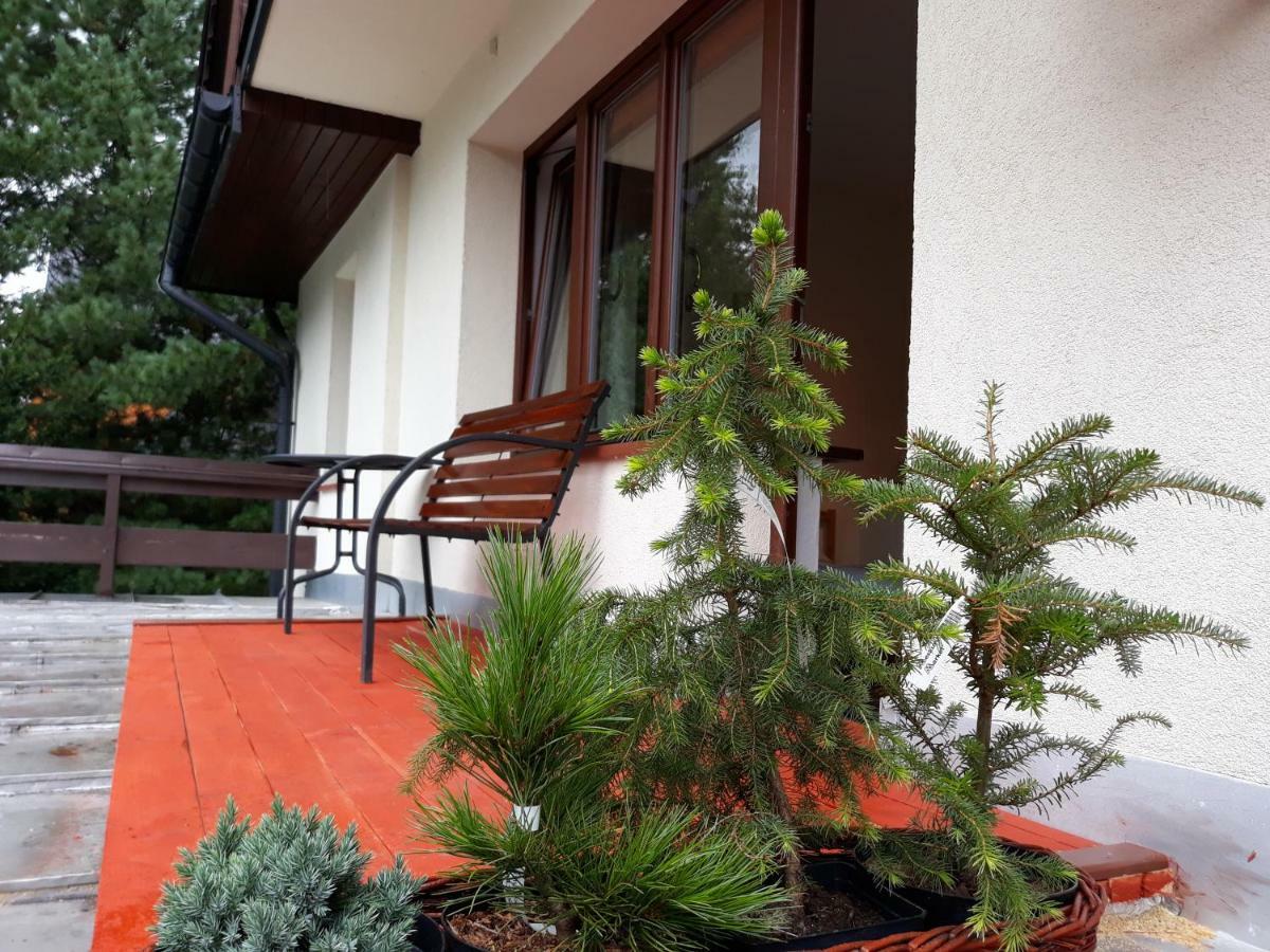 Willa Sichla Murzasichle Daire Dış mekan fotoğraf
